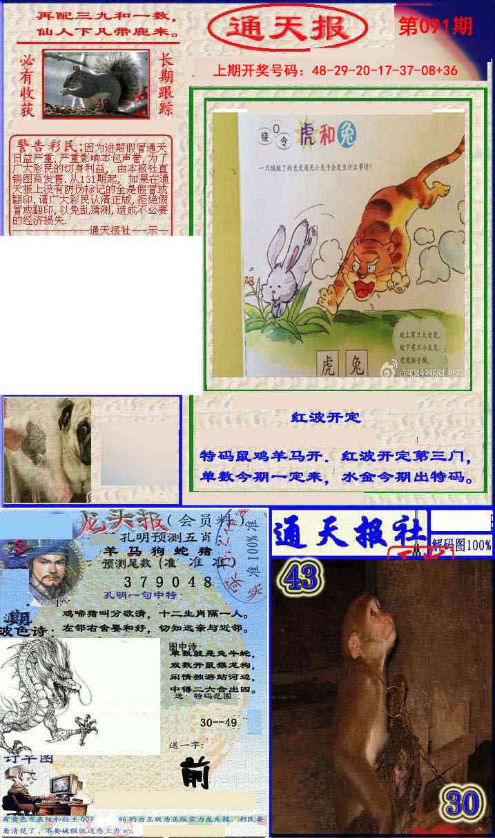 091期实力通天报[图]